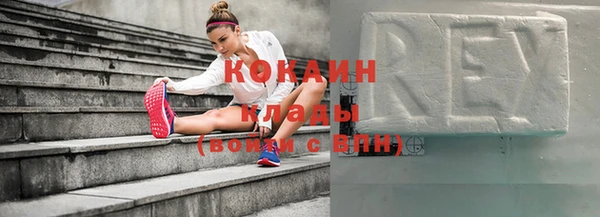шишки Елизово