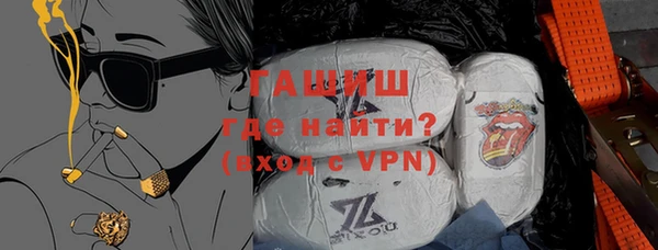 соль ск Ельня