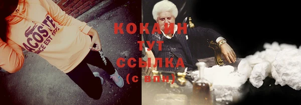 ГАЛЛЮЦИНОГЕННЫЕ ГРИБЫ Заводоуковск