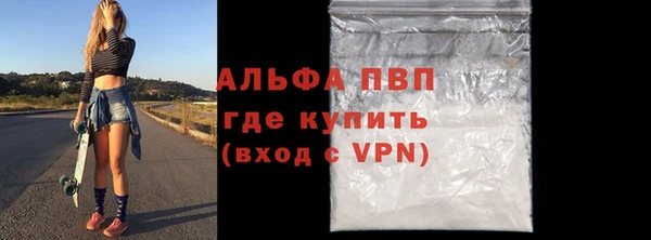 шишки Елизово