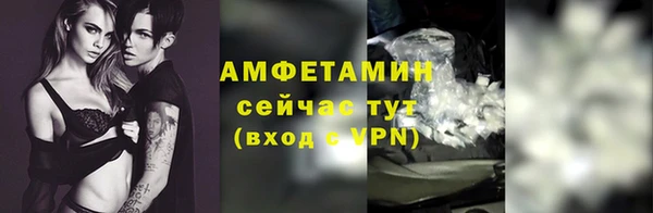 шишки Елизово