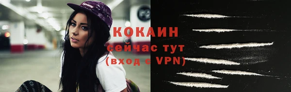 шишки Елизово