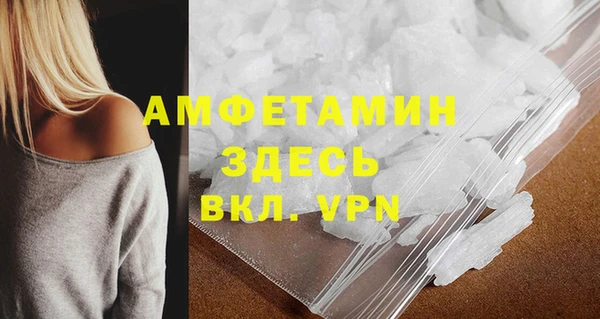 соль ск Ельня