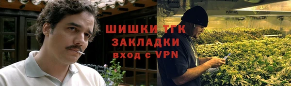 ГАЛЛЮЦИНОГЕННЫЕ ГРИБЫ Заводоуковск