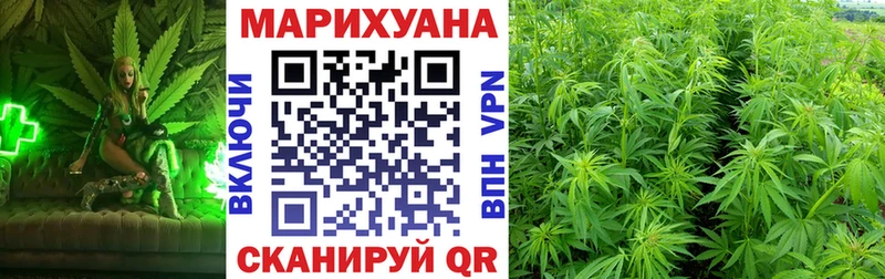 Купить где  Иланский  Каннабис THC 21% 