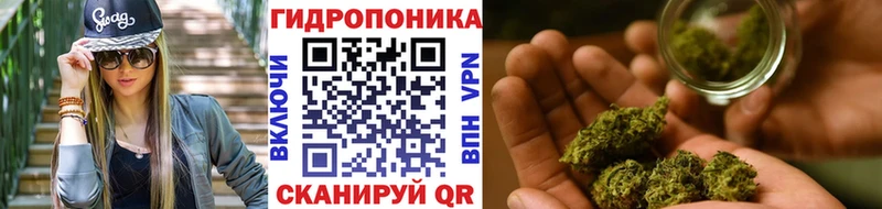 Конопля марихуана Иланский